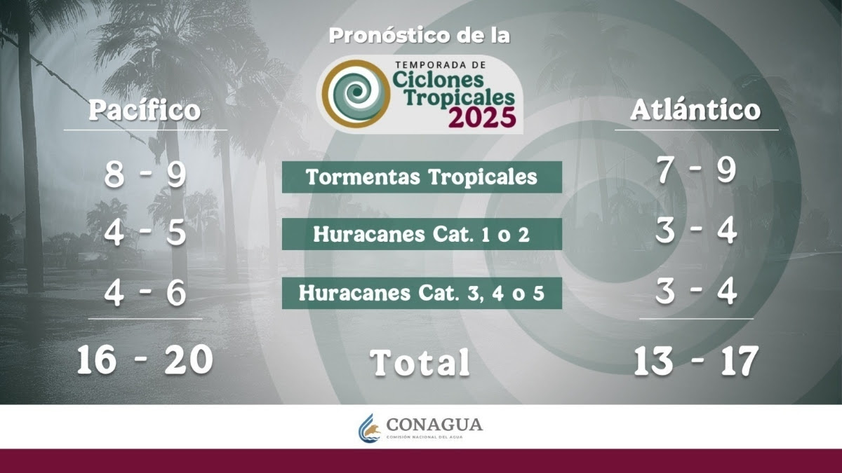 Las Noticias al Momento