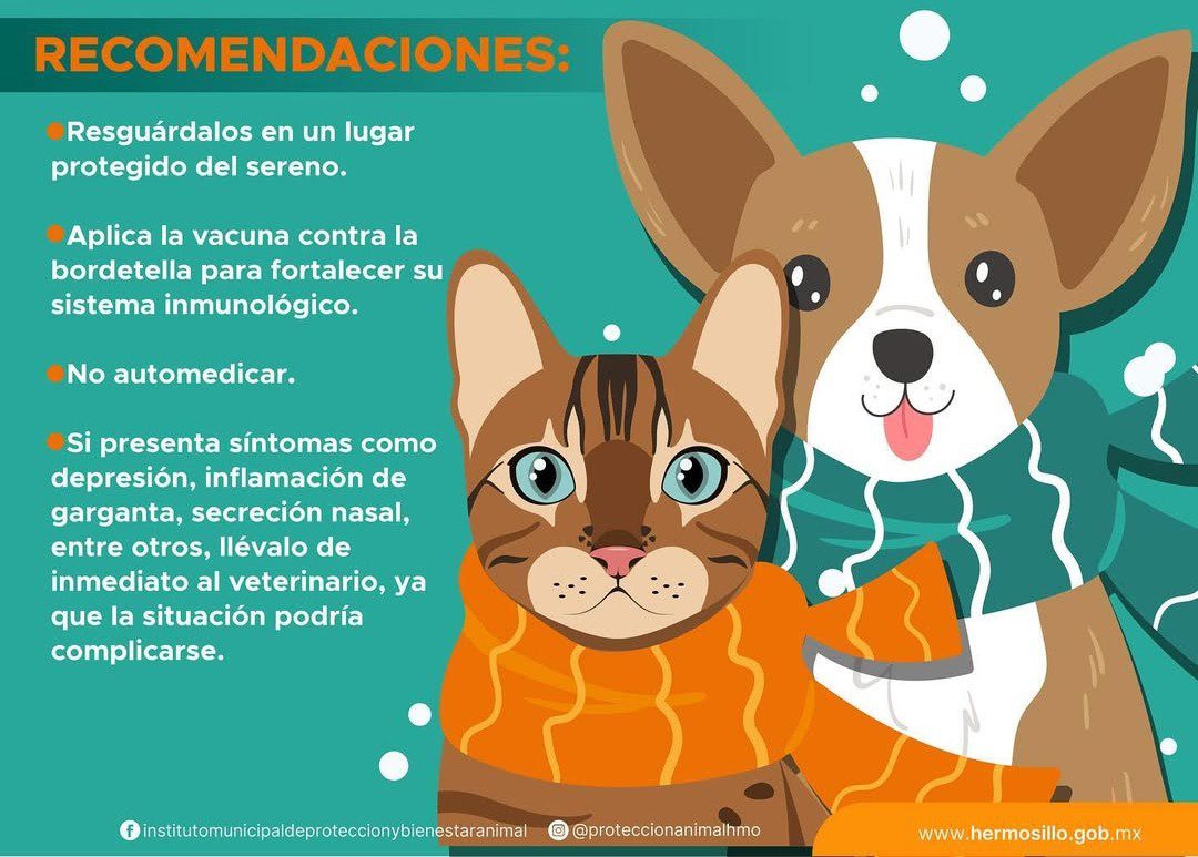 Las Noticias al Momento