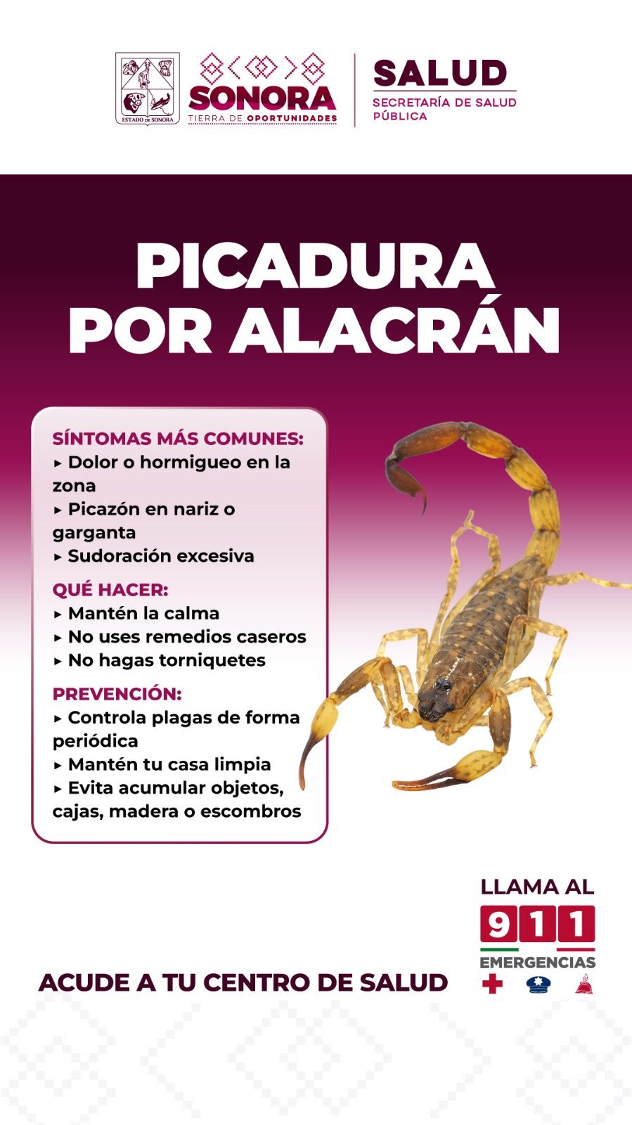 Las Noticias al Momento