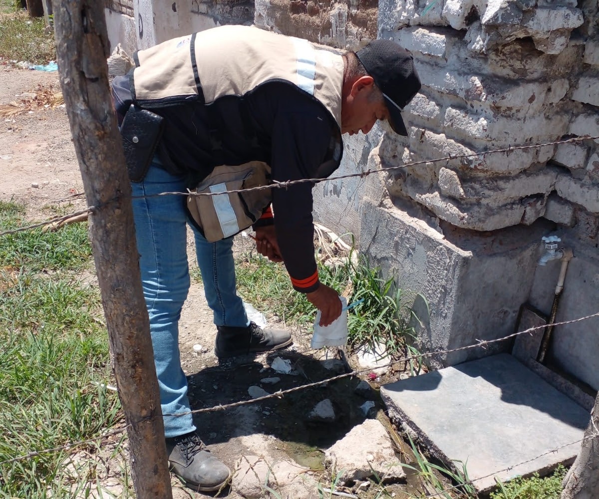 Elimina Salud más de un millón de criaderos potenciales de mosquito