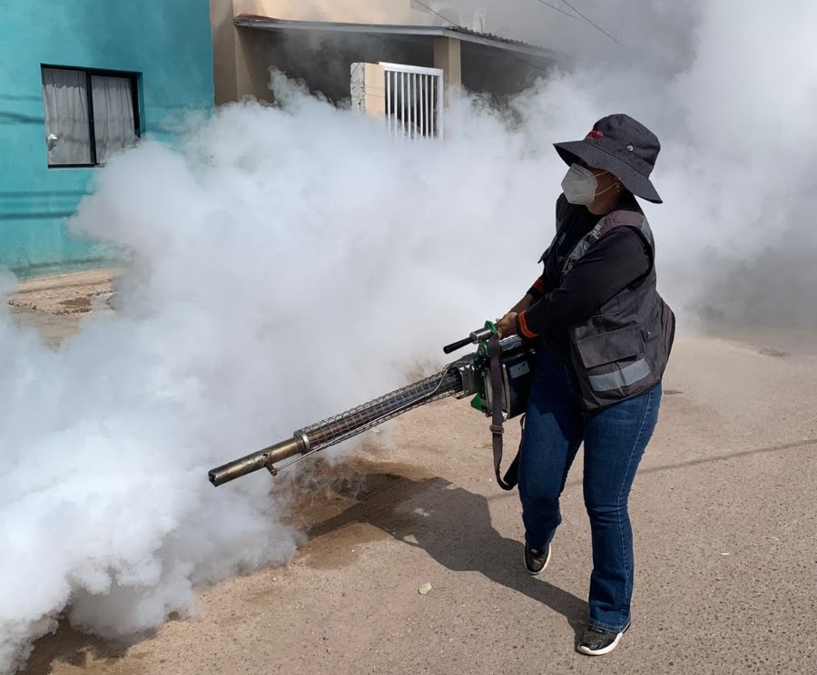 Fortalece Salud Sonora la prevención y control del dengue