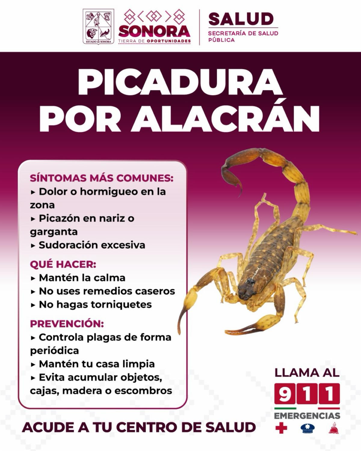Exhorta Salud a prevenir mordeduras y picaduras de animales ponzoñosos