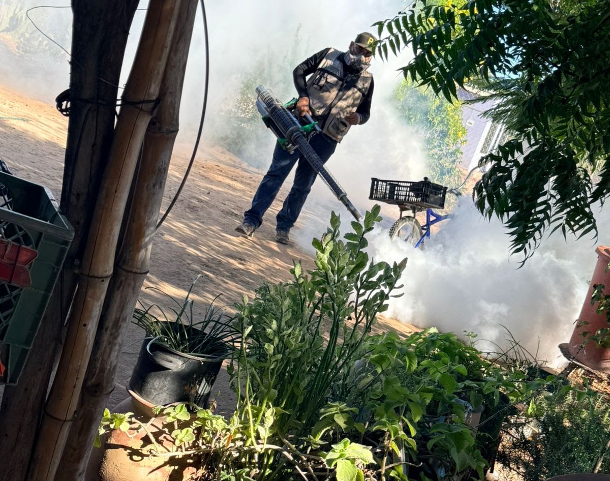Piden mantener patios y viviendas limpias para combatir el dengue