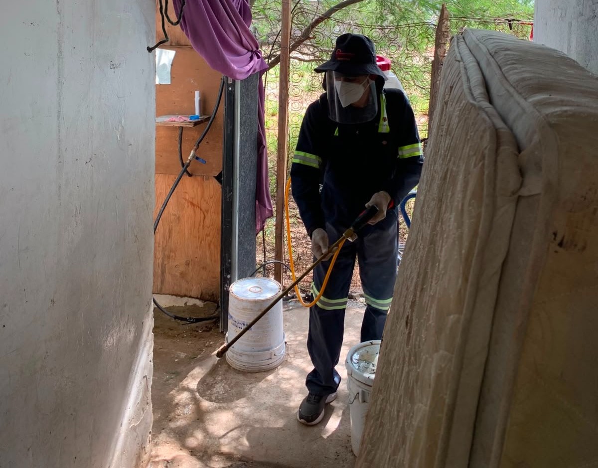 Refuerza Salud Sonora acciones contra rickettsia con fumigación y fomento de casa limpia