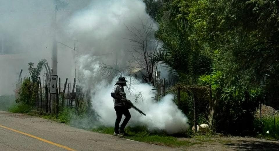 Refuerza Salud prevención del dengue con más de 9 mil fumigaciones intradomiciliarias