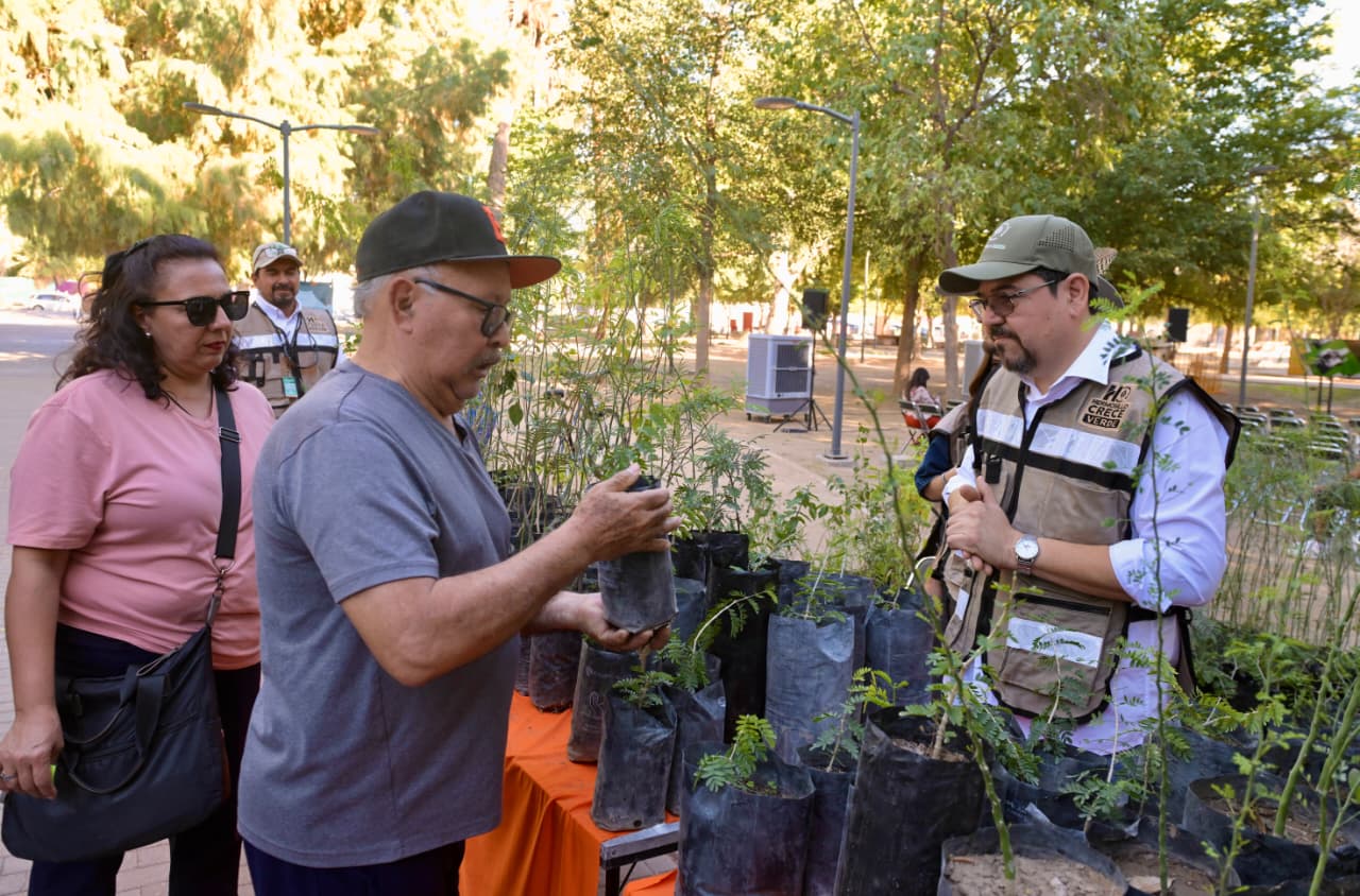 Gana Hermosillo otra vez Desafío de Ciudades de WWF por liderazgo climático urbano