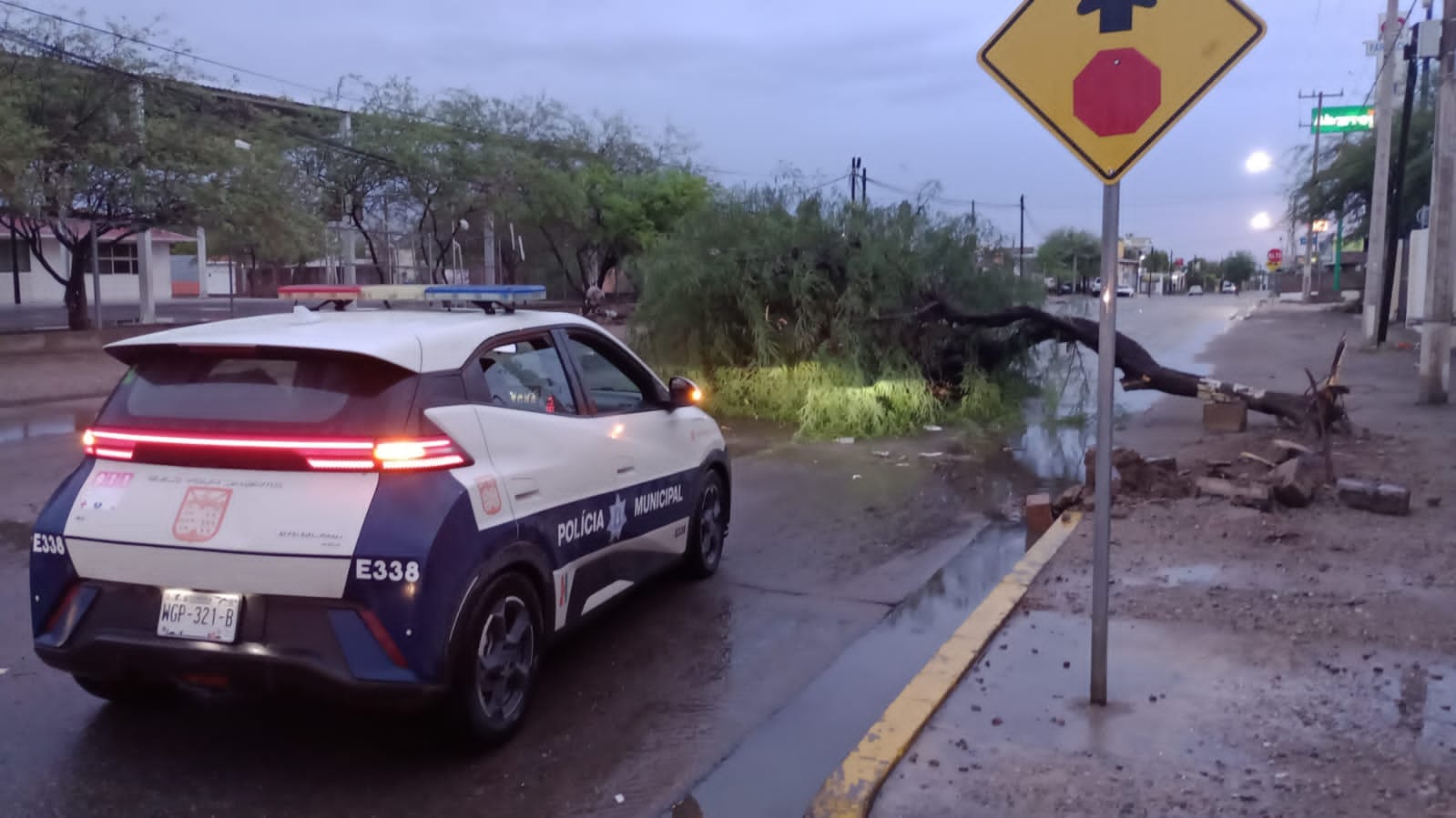 Atiende Gobierno Municipal reportes por lluvias y fuertes vientos