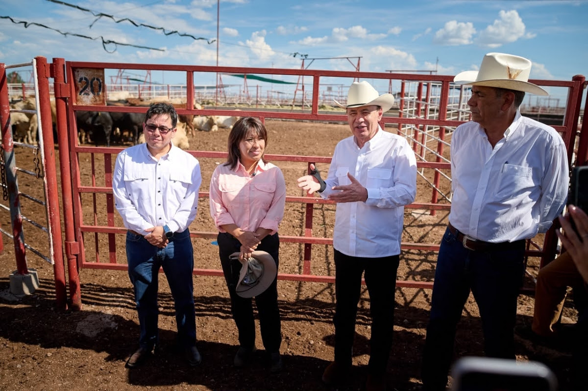 Listo Sonora para reactivar exportación de ganado a EU ante gestiones de Sheinbaum y Durazo