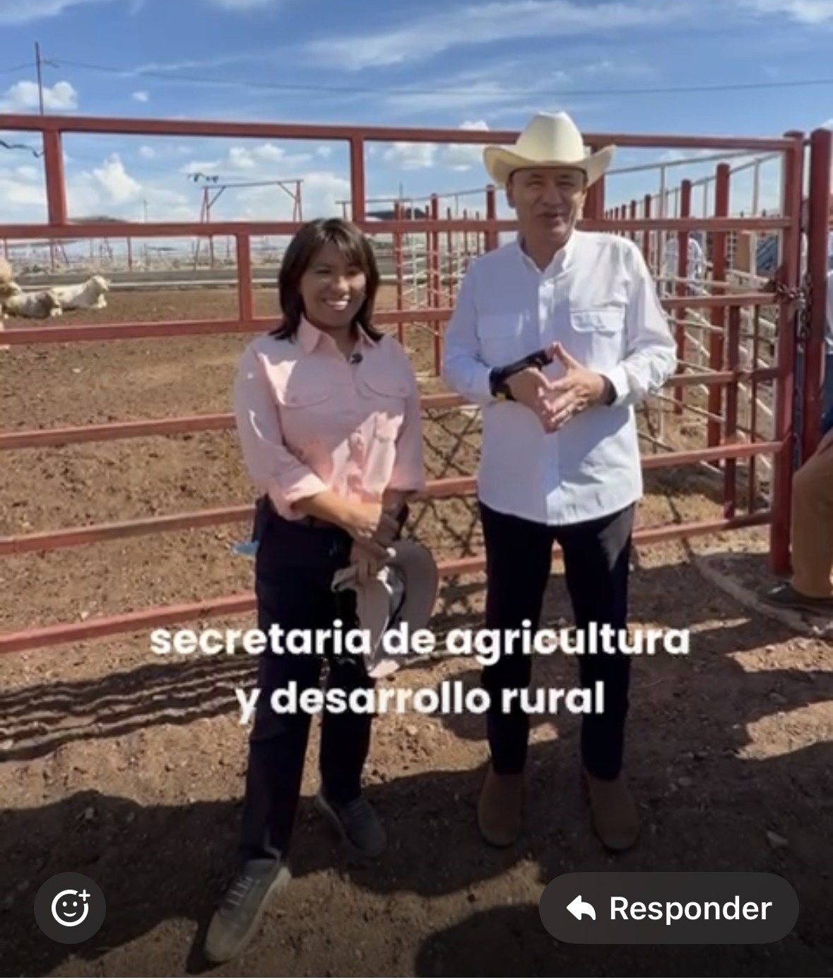 Cafeceando, de Octaviano Rojas g.// Reinician exportación ganadera; Colosio en Sonora; Responde alcaldesa de Guaymas