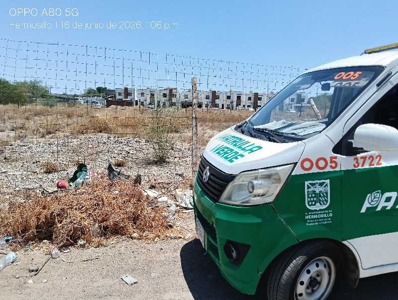 Llama Ayuntamiento a propietarios de lotes baldíos a mantenerlos limpios