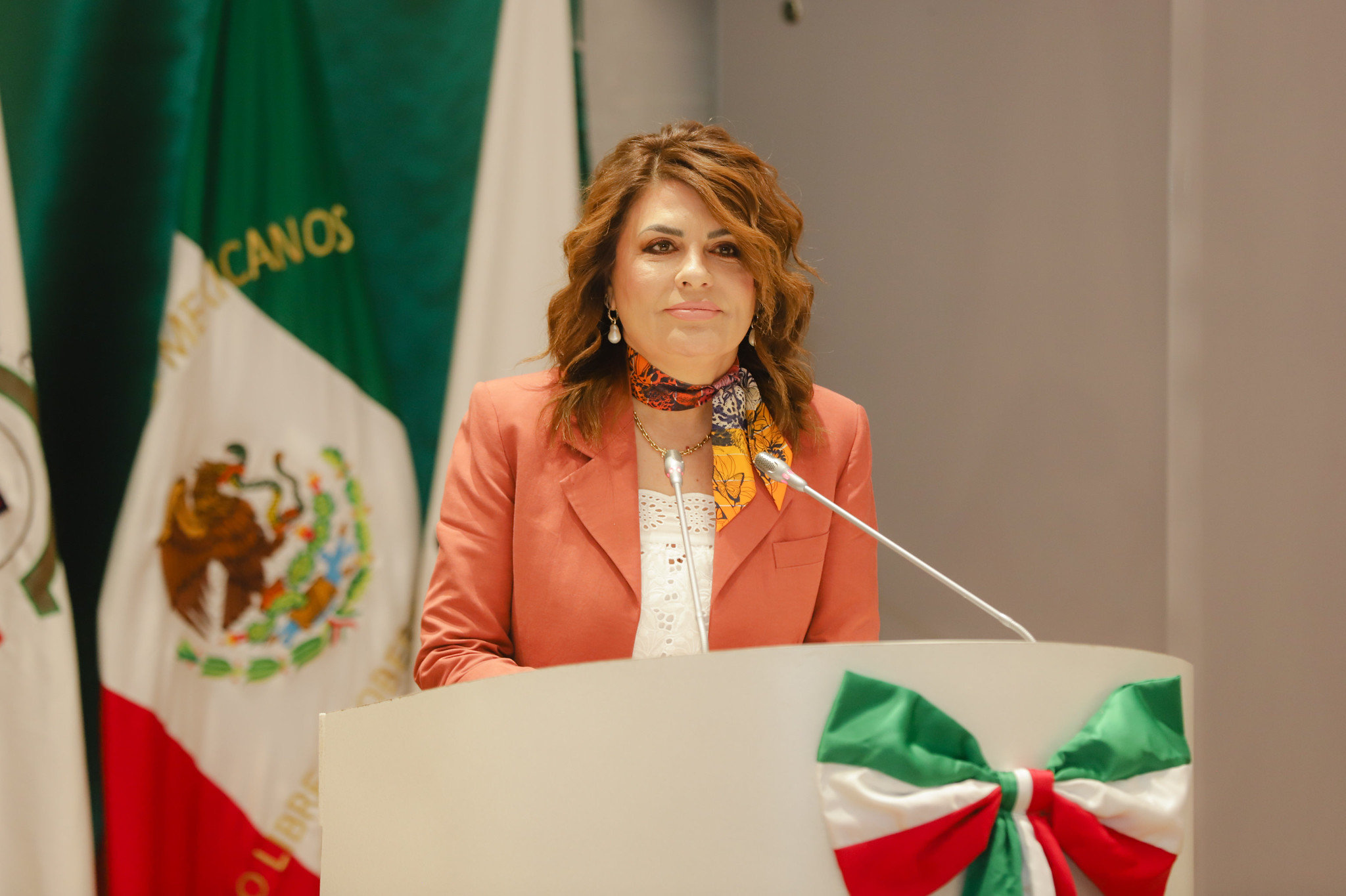 Analiza Congreso iniciativas sobre violencia obstétrica, salud mental, vivienda y prevención de rickettsiosis