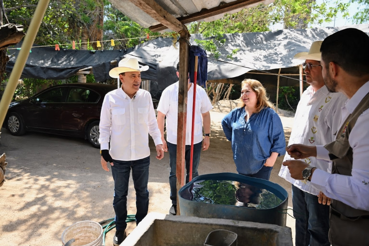 Refuerza Gobernador medidas de prevención y control contra el dengue