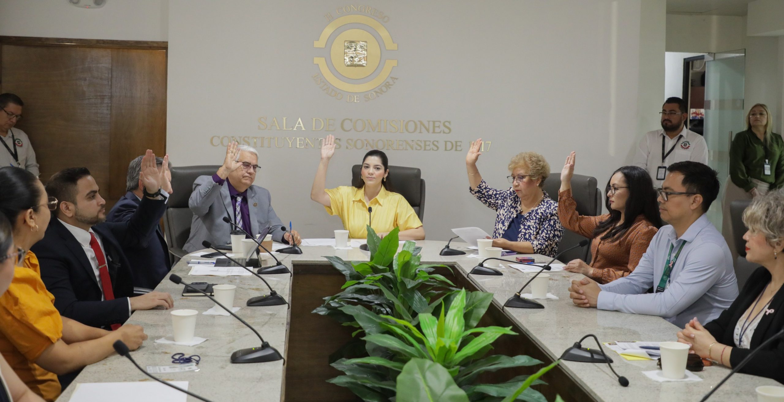 Avala Comisión de Salud del Congreso reforma en materia de tamiz cardiológico neonatal