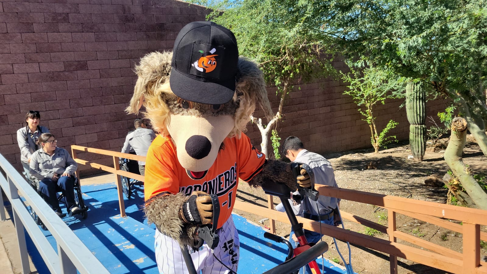 Buscan mejorar accesibilidad en el Estadio Fernando Valenzuela con simulacro H Suma
